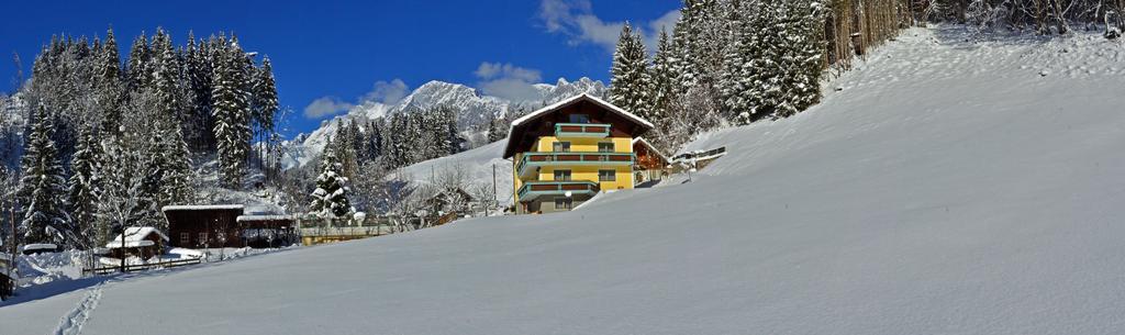 Haus Elisabeth Bed & Breakfast Muhlbach Am Hochkonig Luaran gambar