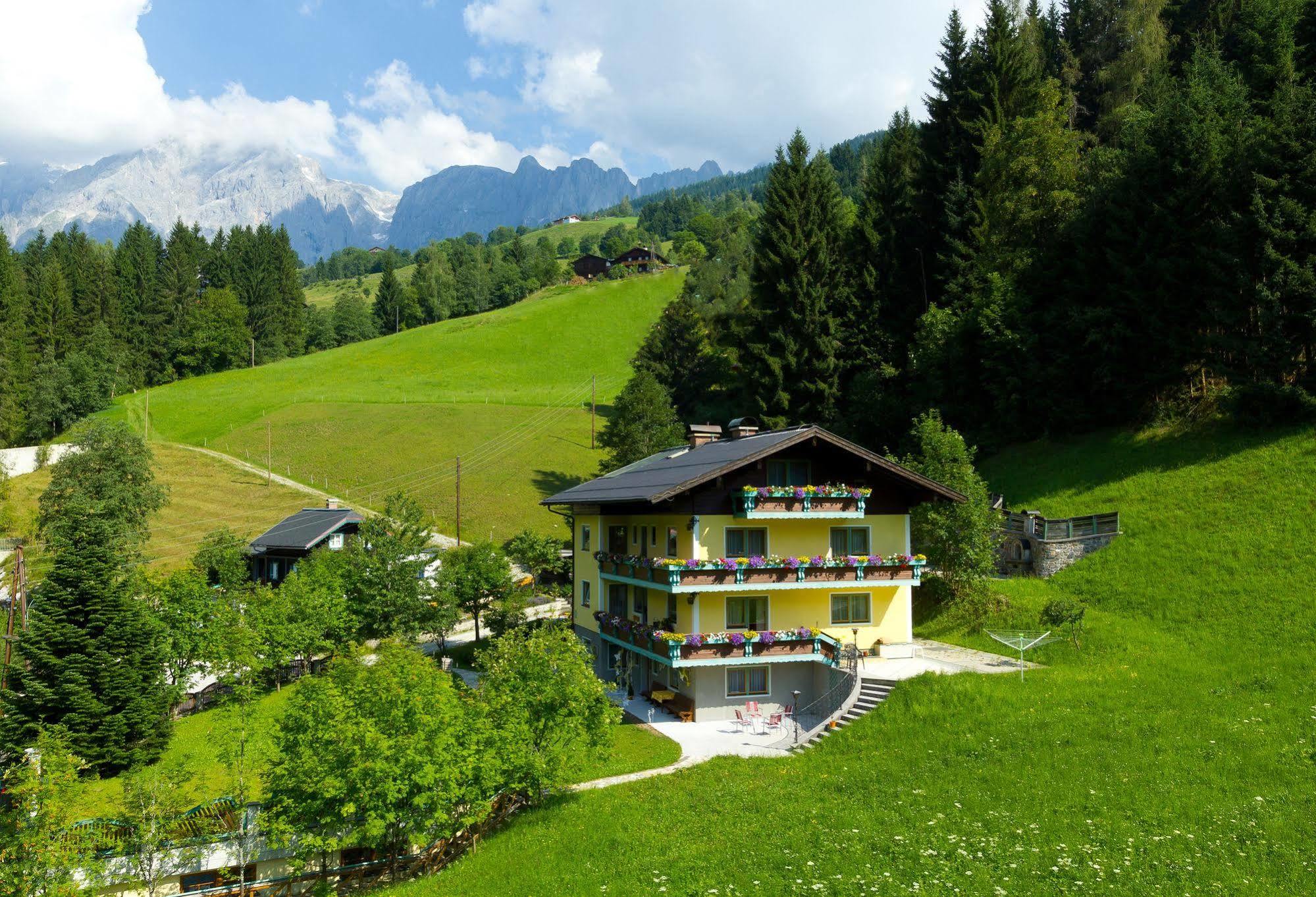 Haus Elisabeth Bed & Breakfast Muhlbach Am Hochkonig Luaran gambar