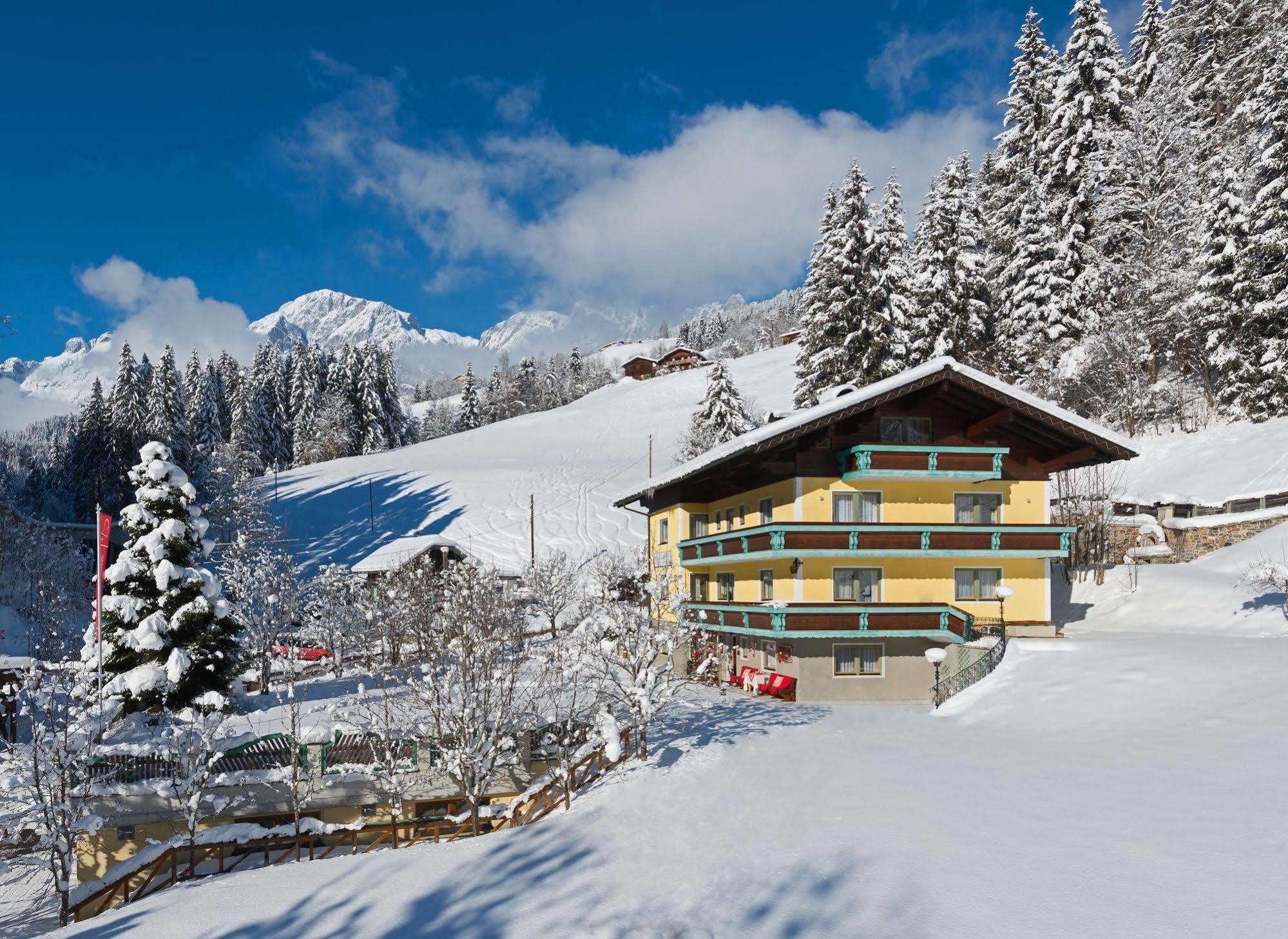 Haus Elisabeth Bed & Breakfast Muhlbach Am Hochkonig Luaran gambar