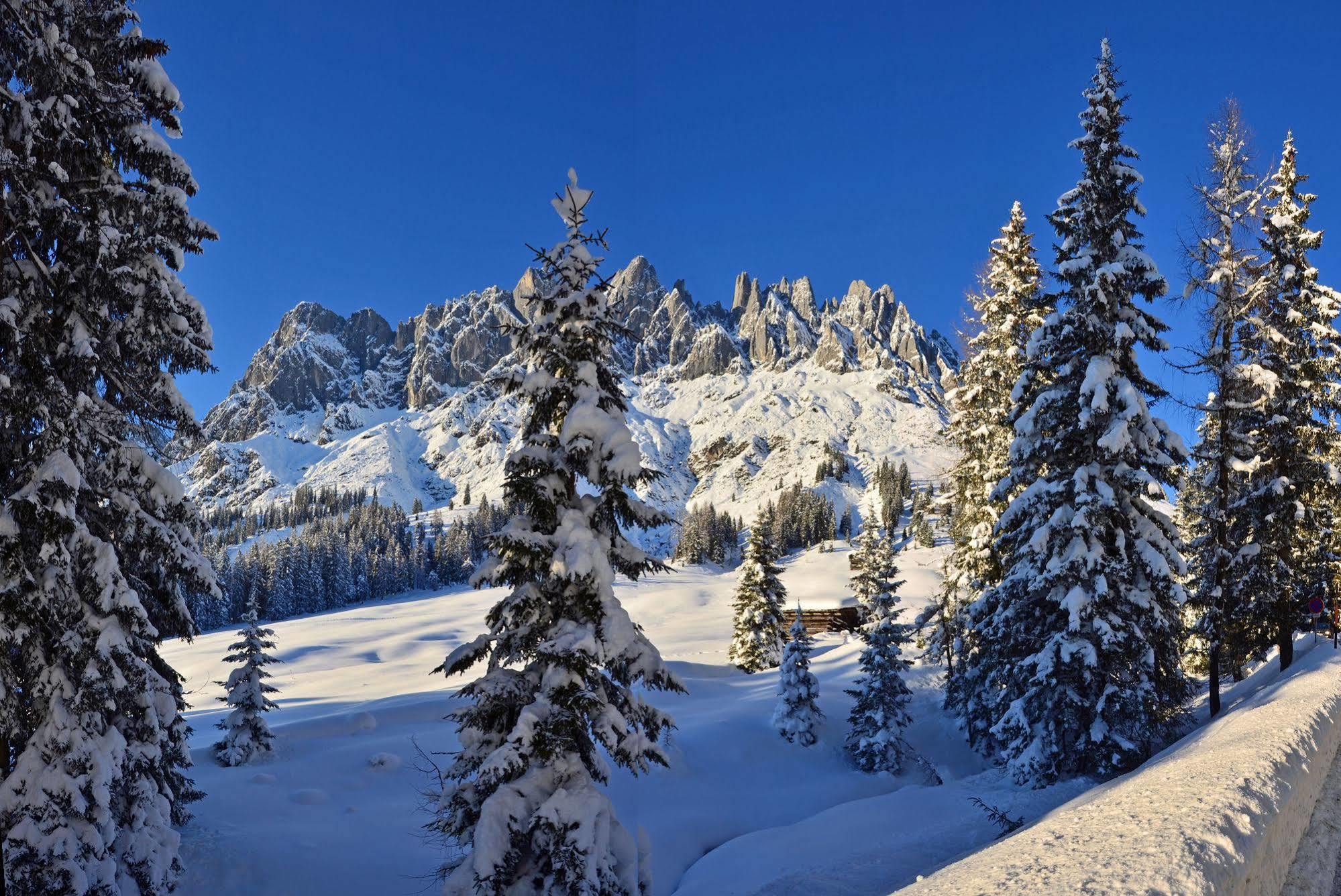 Haus Elisabeth Bed & Breakfast Muhlbach Am Hochkonig Luaran gambar