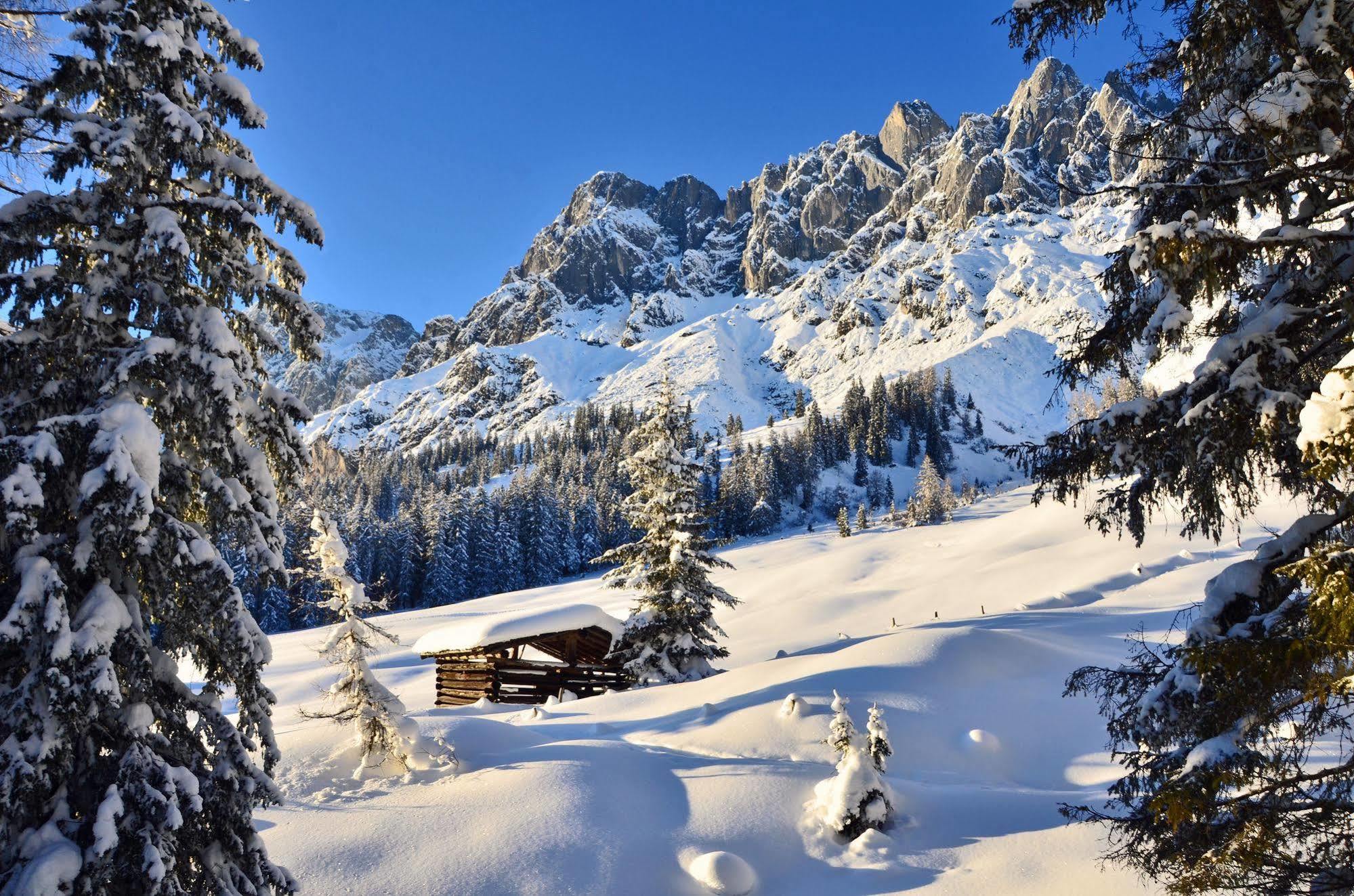 Haus Elisabeth Bed & Breakfast Muhlbach Am Hochkonig Luaran gambar